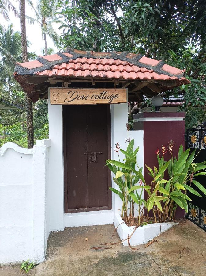 צ'ראי ביץ' Dove Cottage מראה חיצוני תמונה